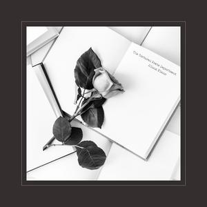 画涯网页版入口链接在线观看
